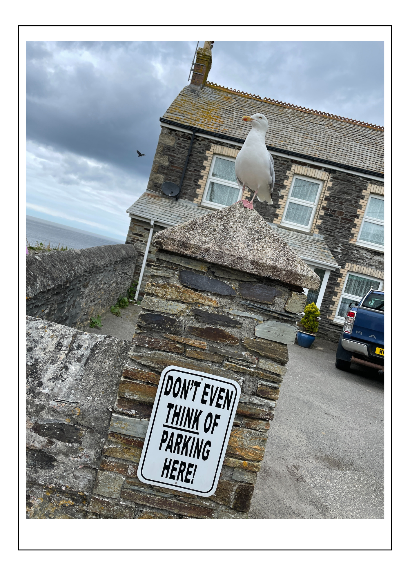 Port Isaac parking patrol