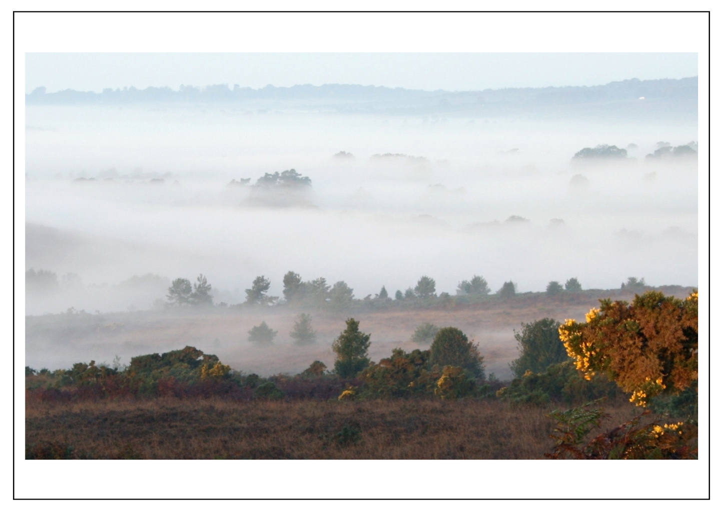 Ashdown Forest, East Sussex