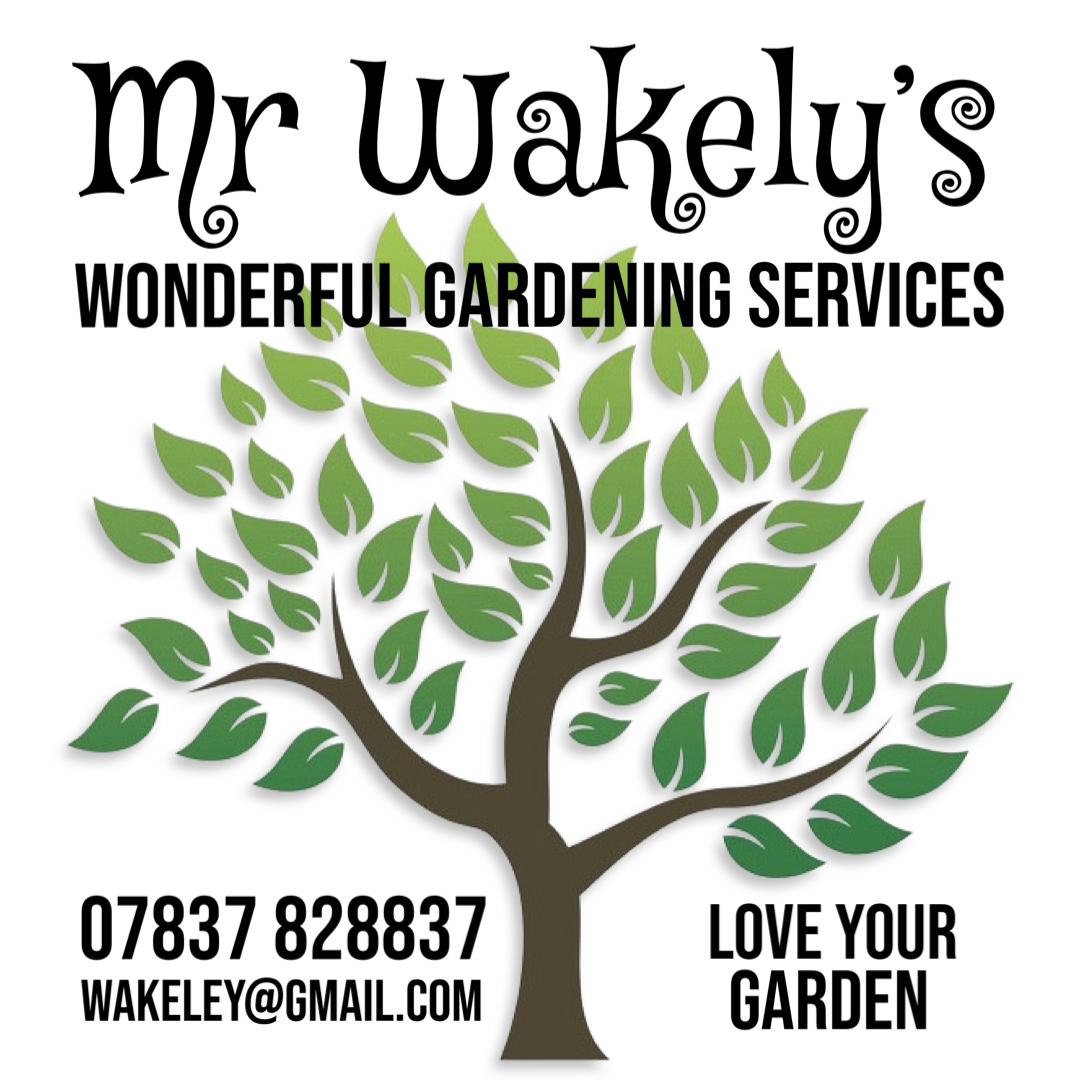 Company logos and headers (4)