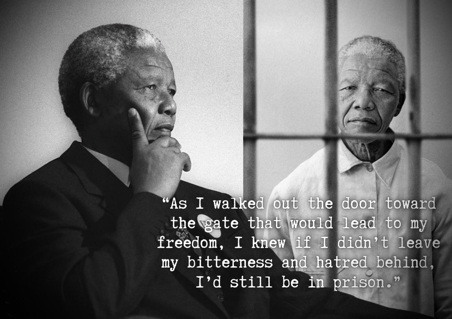 Nelson Mandela - Freedom