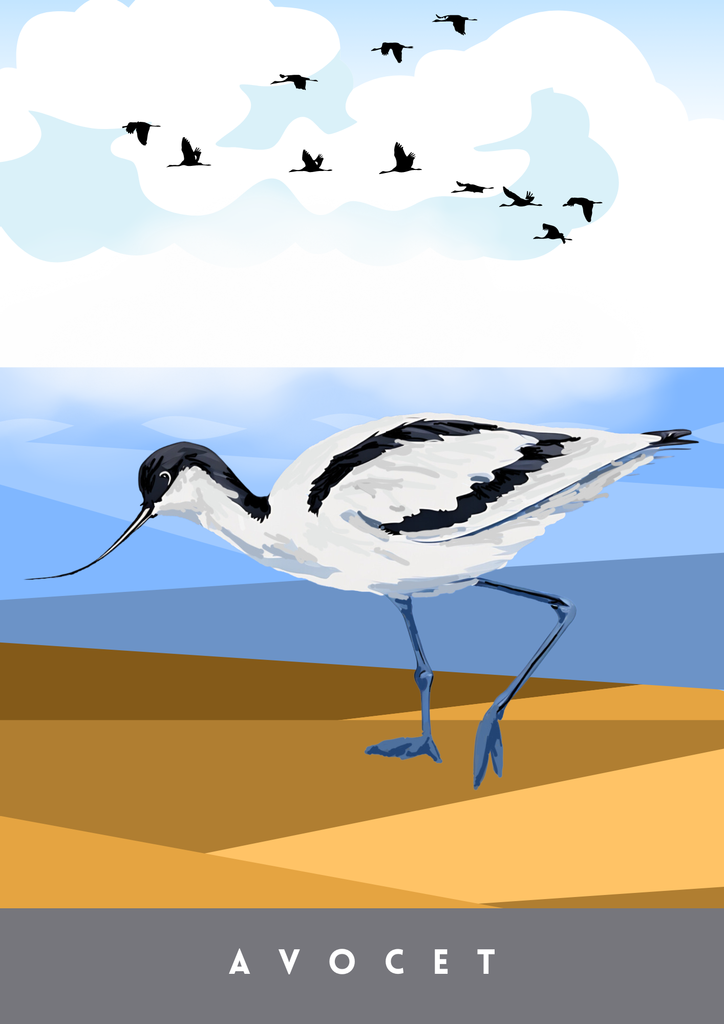 Avocet
