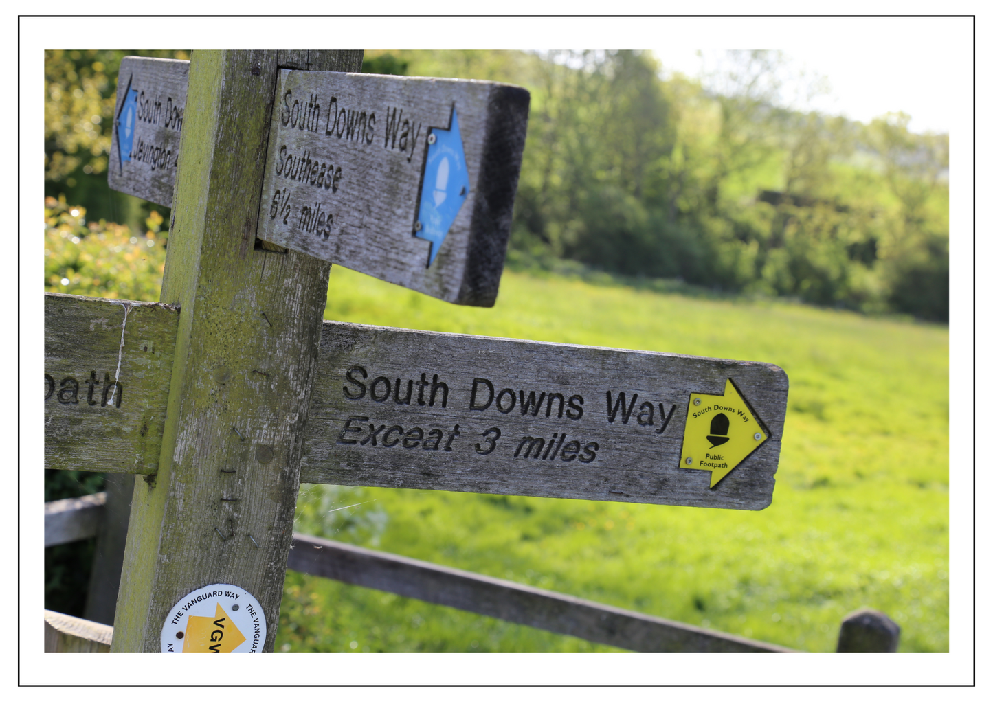 South Downs Way