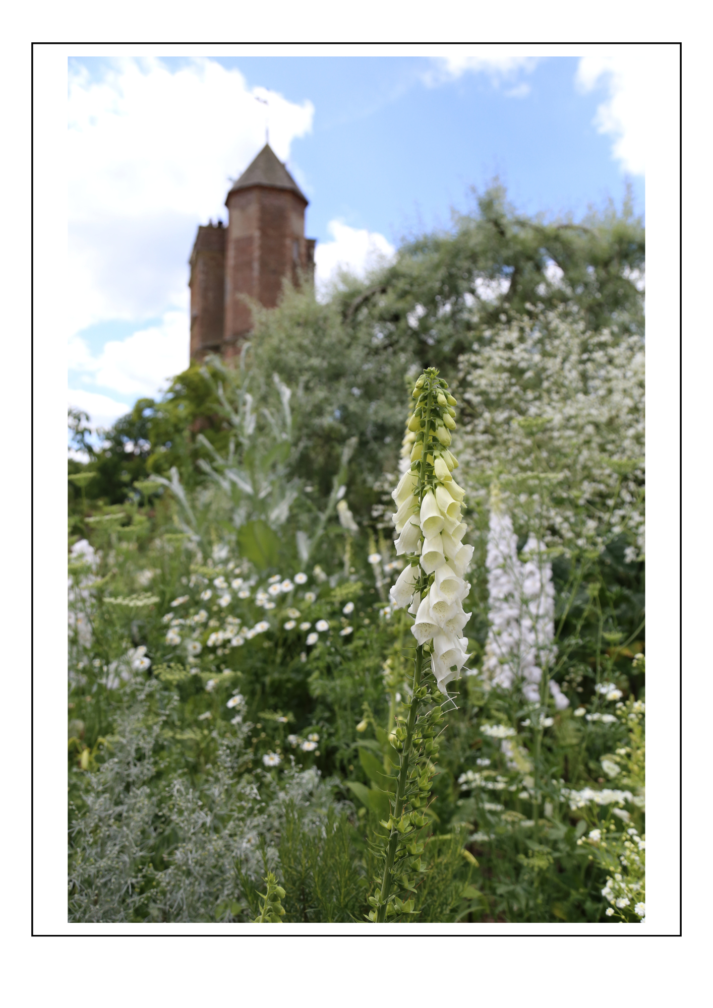 White Sissinghurst