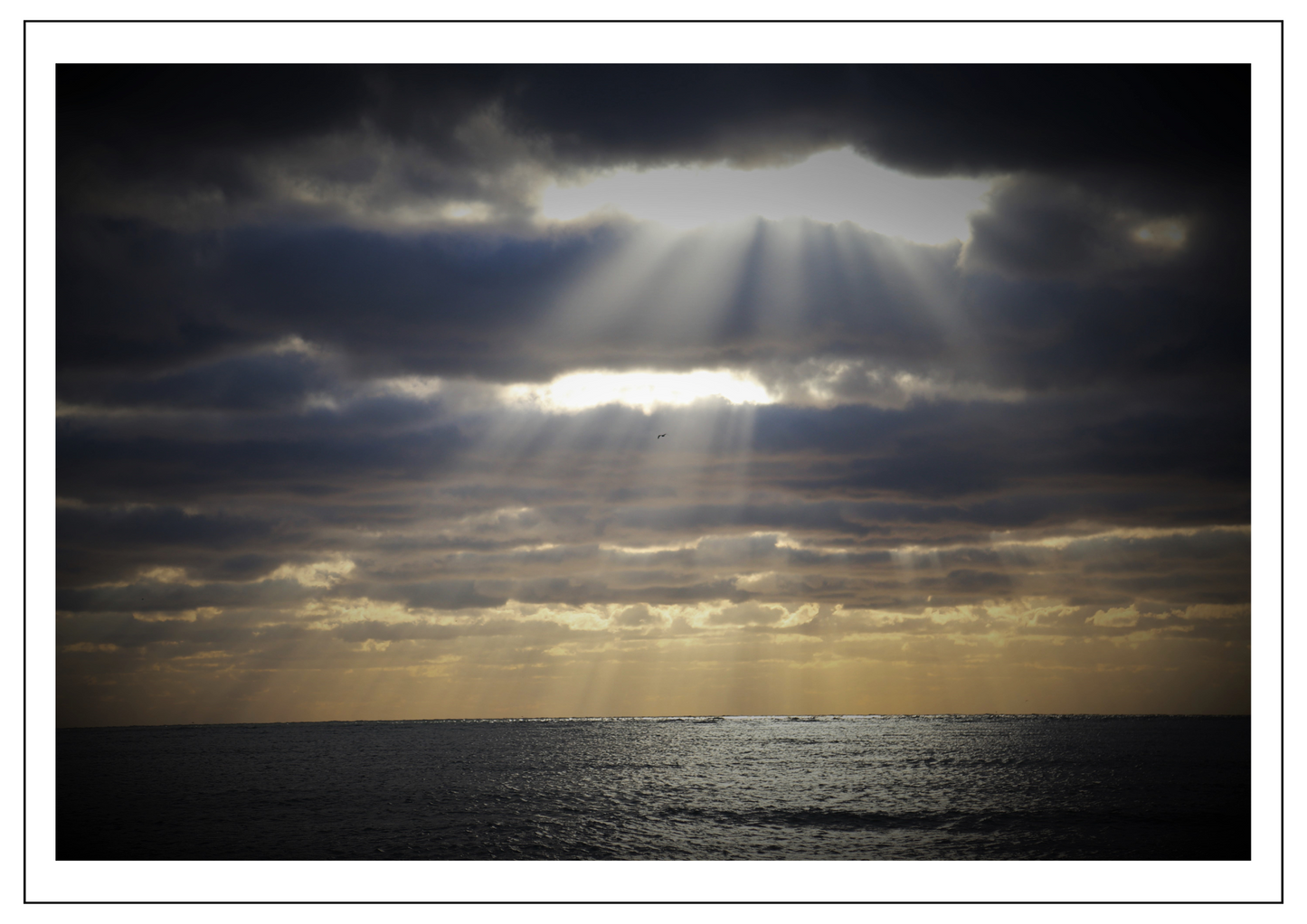 Cuckmere Have, East Sussex
