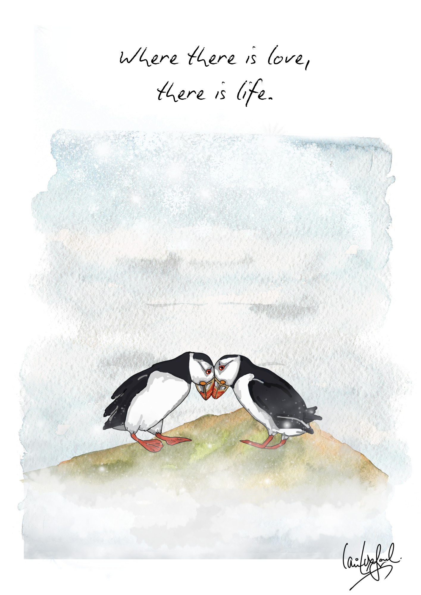 Puffin love
