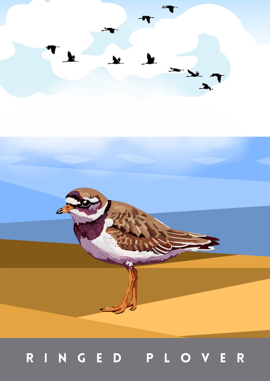 Little Plover